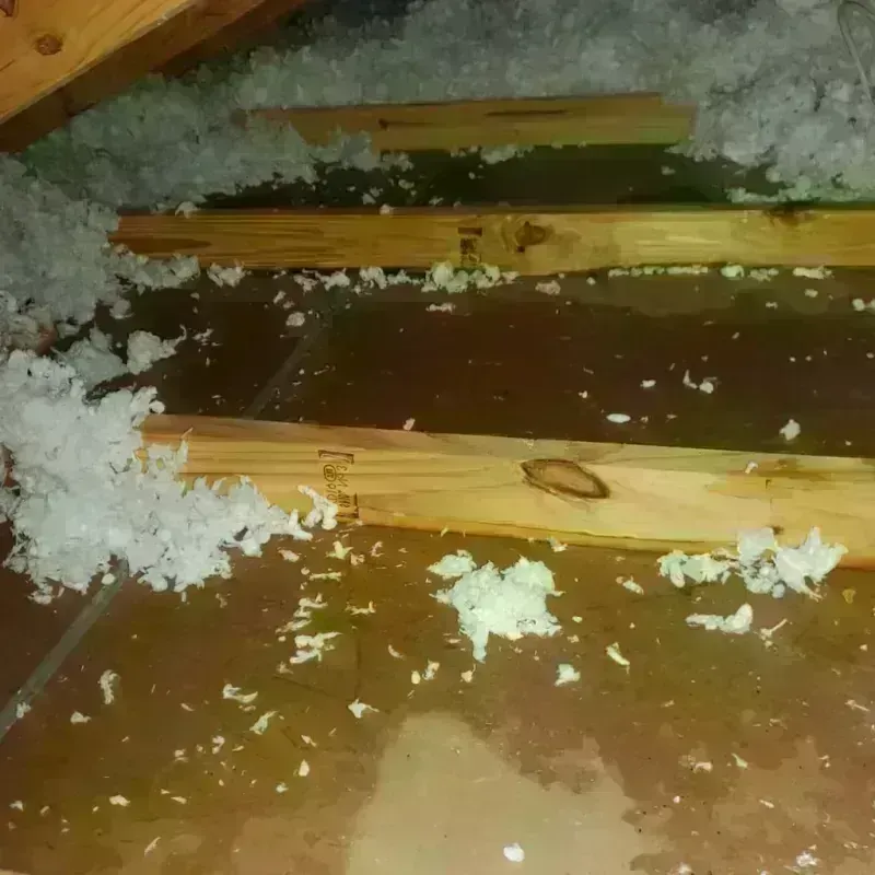 Attic Water Damage in Wakefield, NE